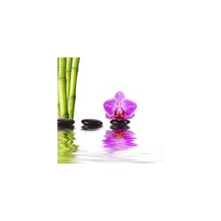 Rückenmassage mit ÖL 30 min.